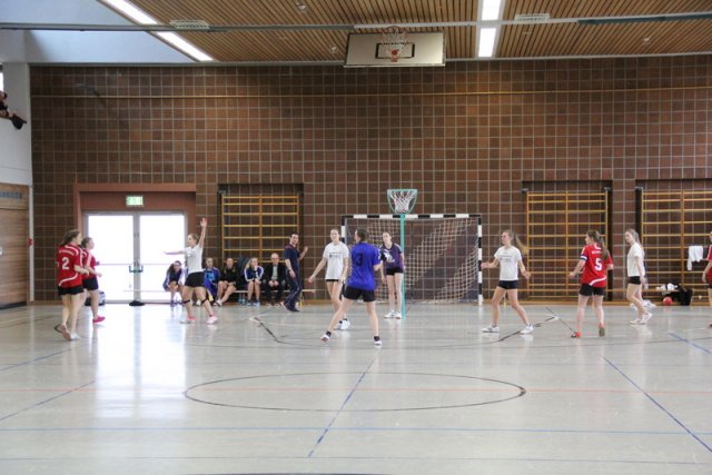 2017_02_19 Landesliga Frauen und Jugend 19